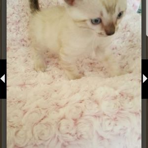 Meet your Posher, Nancy